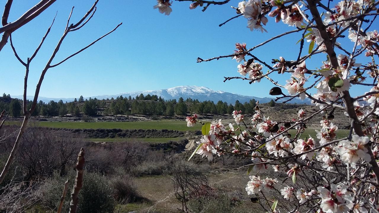 Cueva Las Yeseras Baza Dış mekan fotoğraf